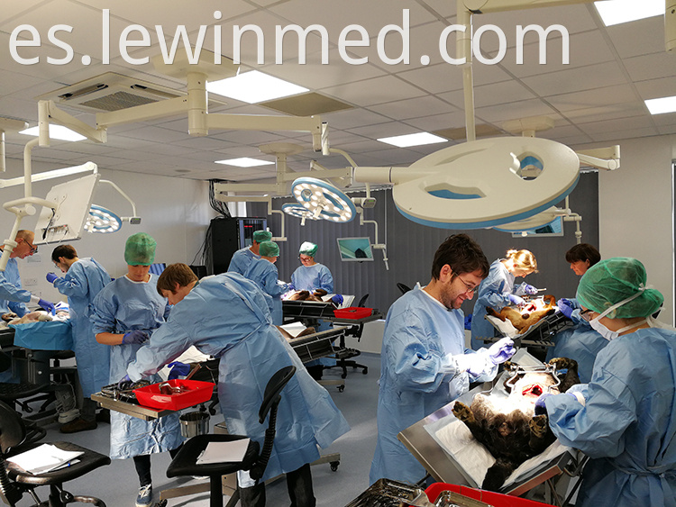 Led Surgical Light